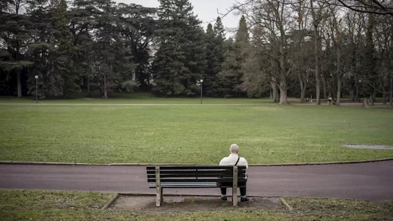 Lyon: les grands parcs et les cimetières fermés ce jeudi en raison des vents violents