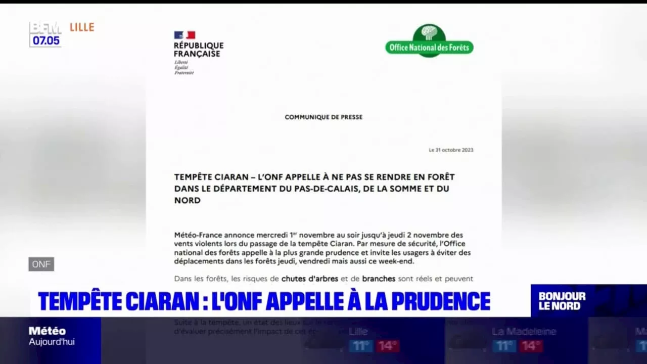 Tempête Ciaran: l'Office national des forêts appelle à la prudence