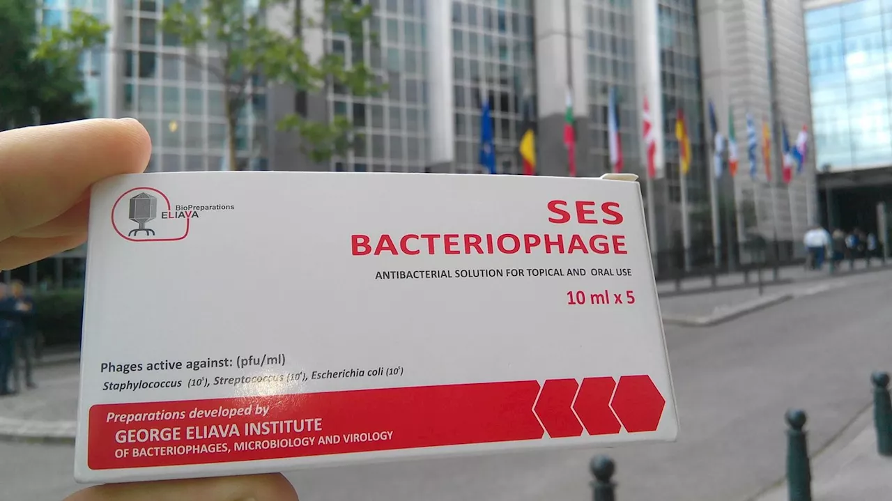 Alternative zu Antibiotika: Phagentherapie im Kampf gegen multiresistente Keime