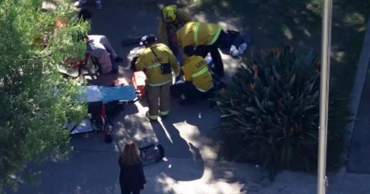 Multiple students stabbed at Van Nuys High School, school placed on lockdown