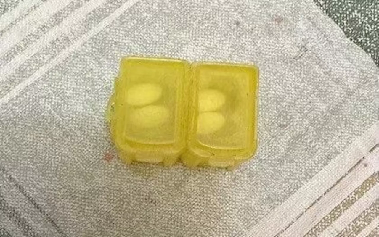 RCMP warn parents of medication handed out instead of candy at Colwood home