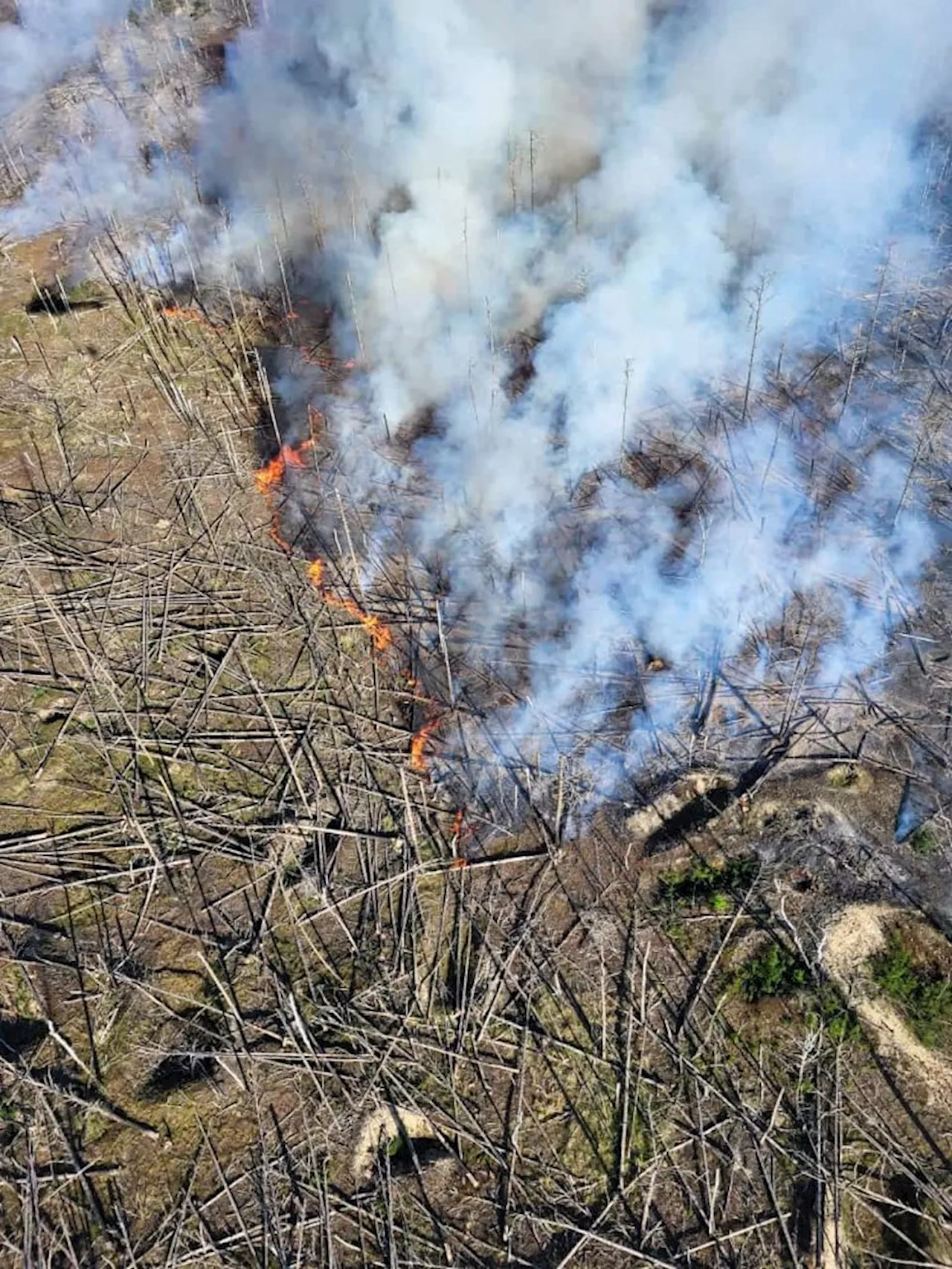 Brandbekämpfung aus der Luft: Die Bundespolizei im Einsatz gegen den Waldbrand im Landkreis Teltow-Fläming