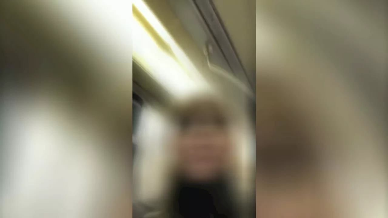 «Ni*** les juifs et vive la Palestine» : un chant antisémite entendu dans le métro scandalise (vidéo)