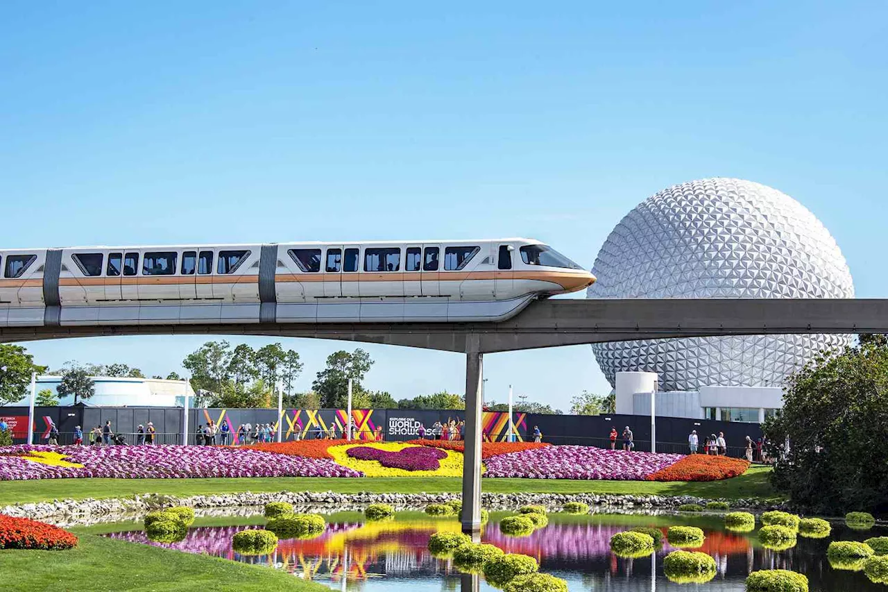 Disney World evacuates 71 monorail guests after train stops on tracks