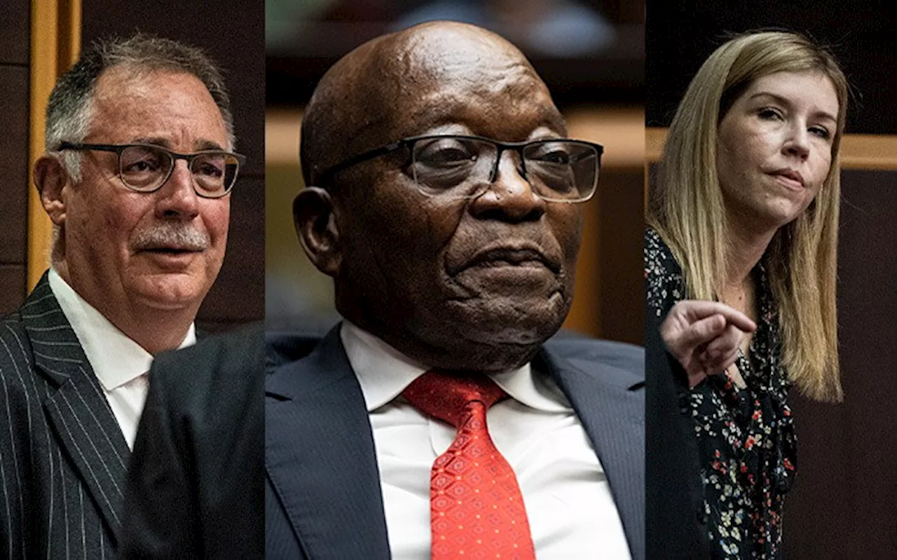 Downer, Maughan don't have to sit in dock for Zuma private prosecution matter