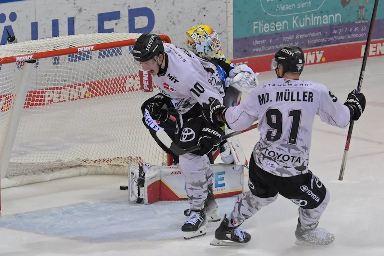 DEL live: Kölner Haie - Fischtown Pinguins Bremerhaven