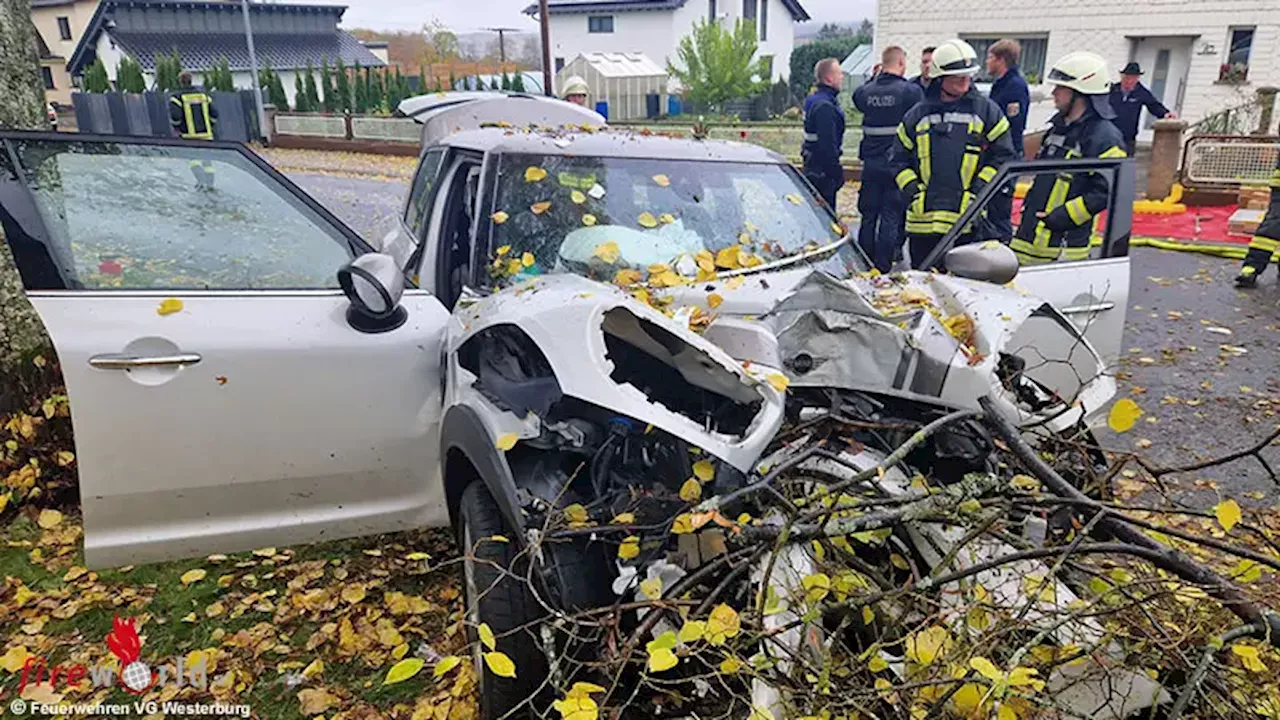 D: Pkw prallt bei Höhn frontal gegen Baum → Fahrerin und Beifahrer werden schwer verletzt