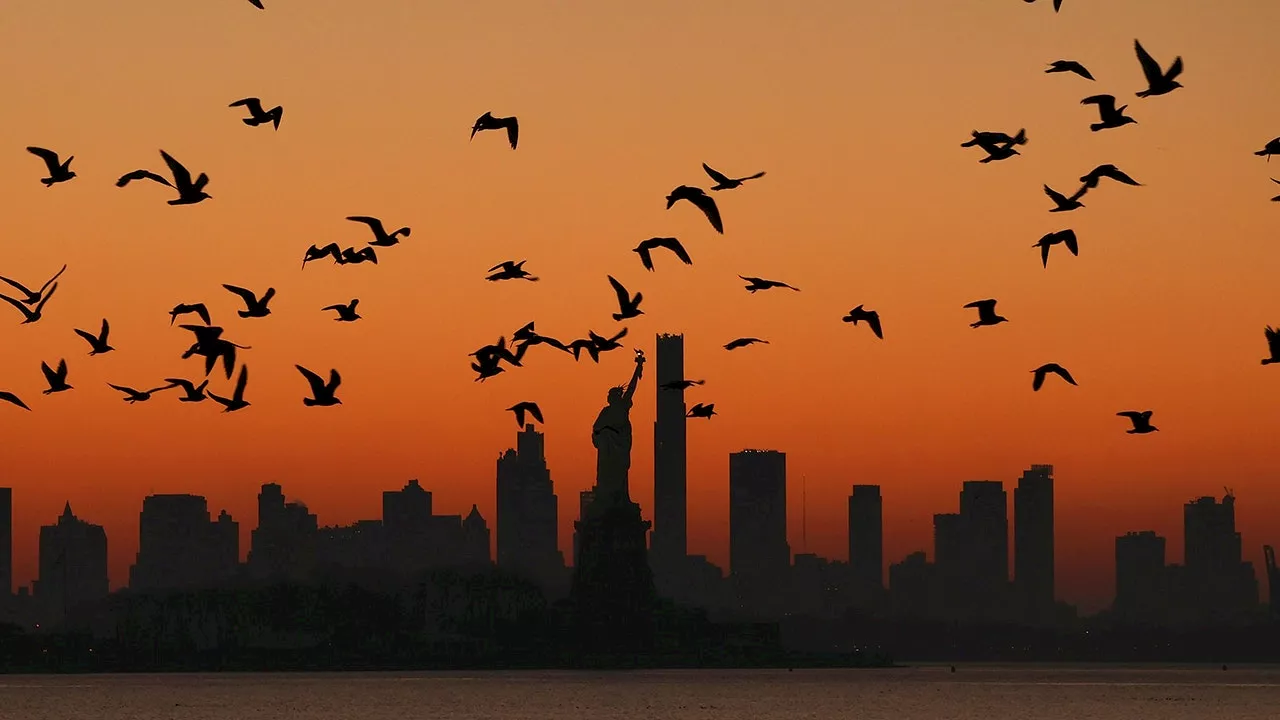 Prominent bird group to rename avians connected to racism, slavery, ‘robbers of Indigenous graves’