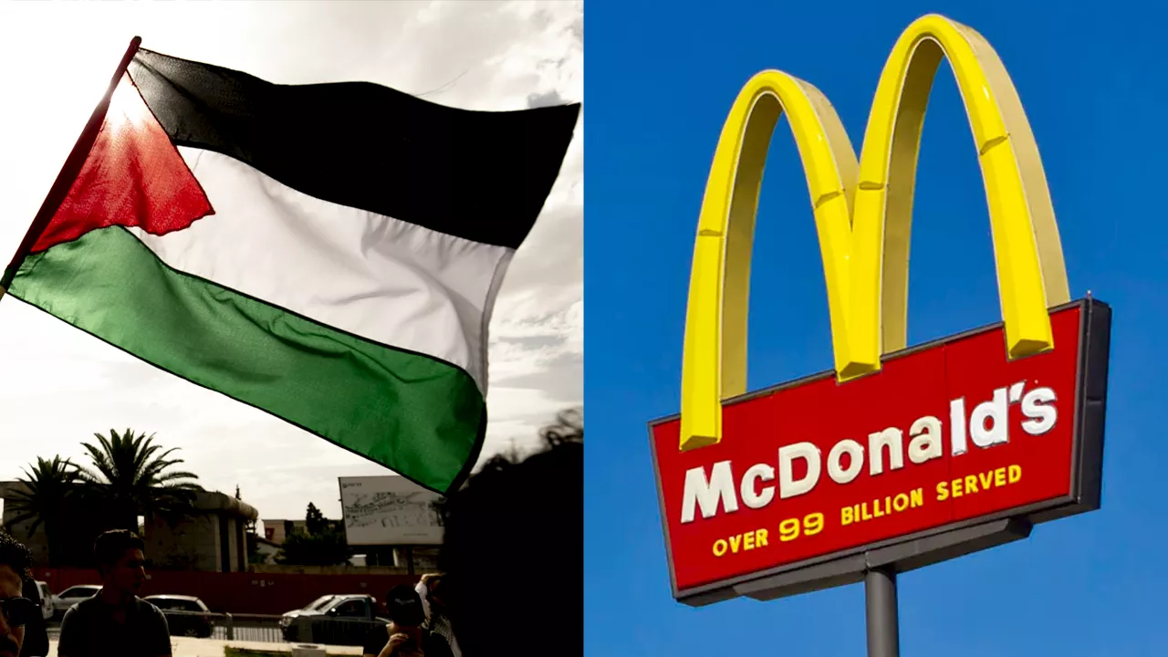 Protester dumps box of mice painted in Palestinian flag colors into McDonald’s restaurant