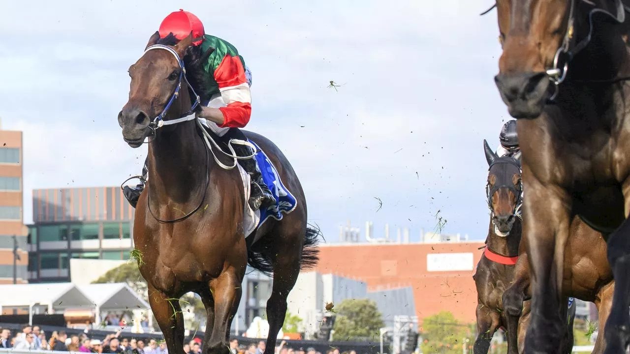 Hot favourite ready to atone for shocker and sneaky $101 place chance: Golden Eagle form guide