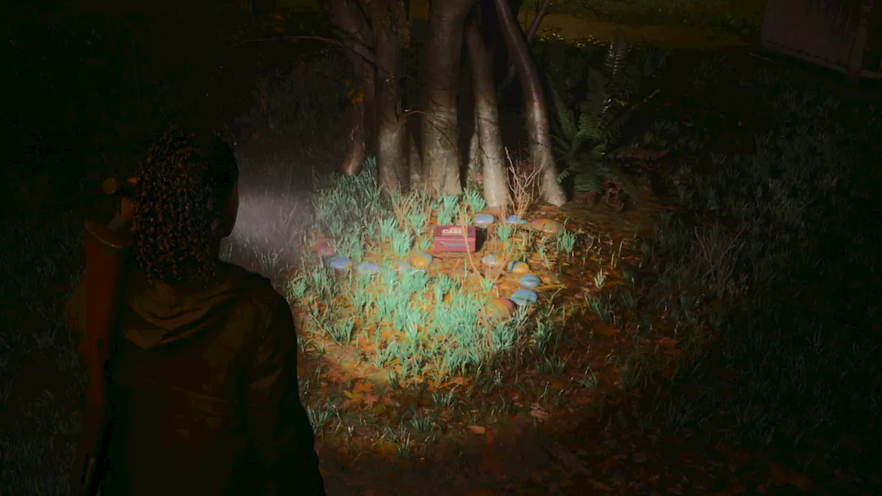 All Lunch Box Locations at Bright Falls in Alan Wake 2