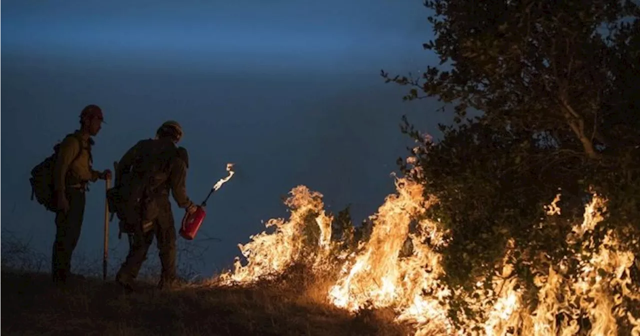 British Columbia Proposes Major Changes to Forest Management