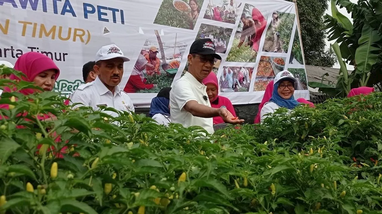 Food Security Campaign, Heru Budi Harvests Chilies