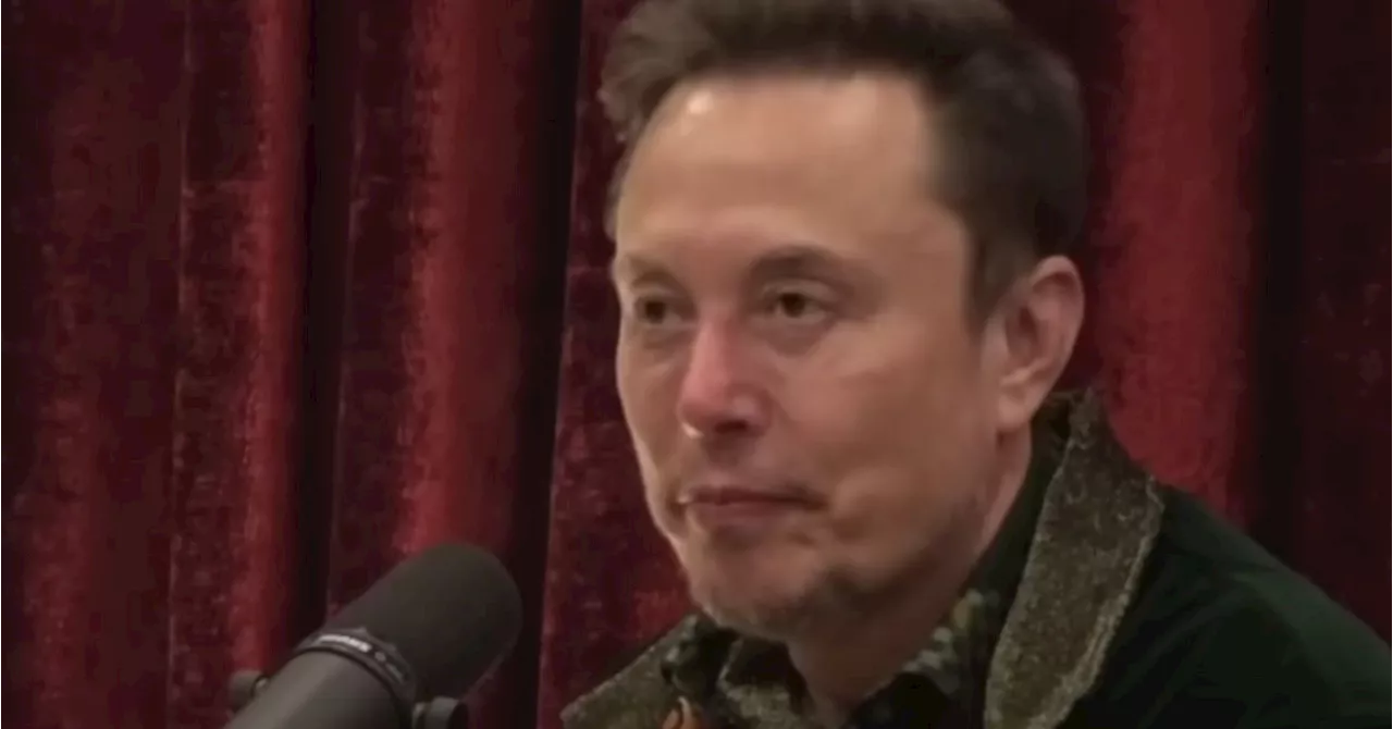 Elon Musk And Joe Rogan’s Robin Hood Podcast Moment Is... Something