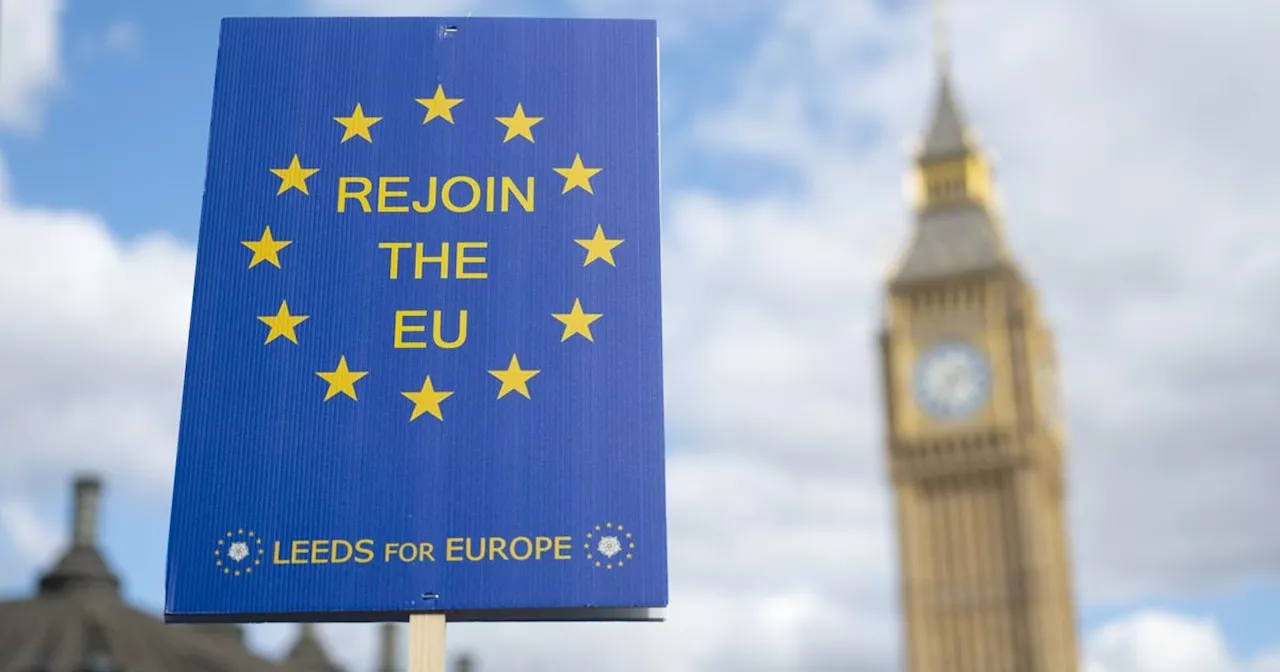 Nearly Half of Voters Want Another EU Referendum in Next Five Years