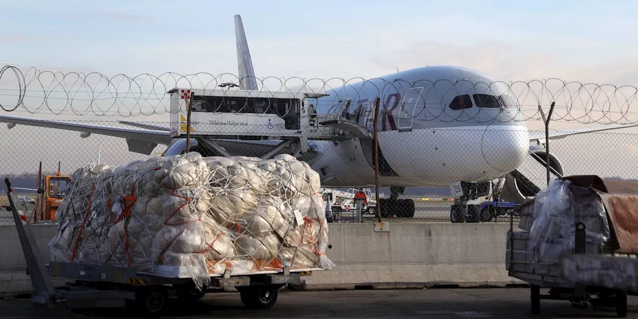 La brughiera intorno a Malpensa è di nuovo a rischio