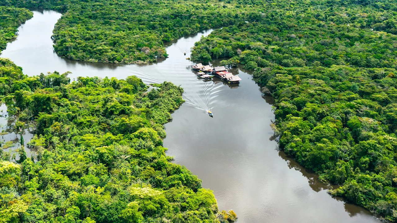 Amazon deforestation causes increased warming up to 62 miles away