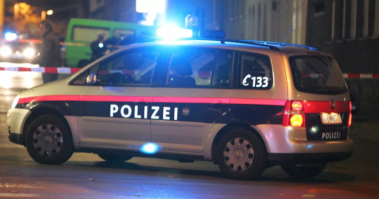 Frau (22) fuhr Polizei in NÖ davon: Flucht endete in einer Leitschiene