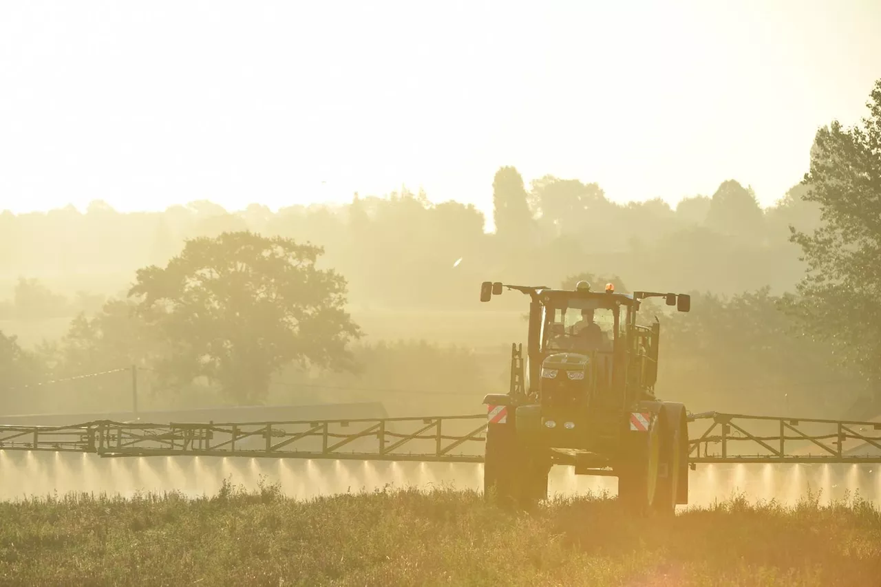 Glyphosate: Bayer annonce faire appel d'une condamnation à 332 millions USD aux Etats-Unis