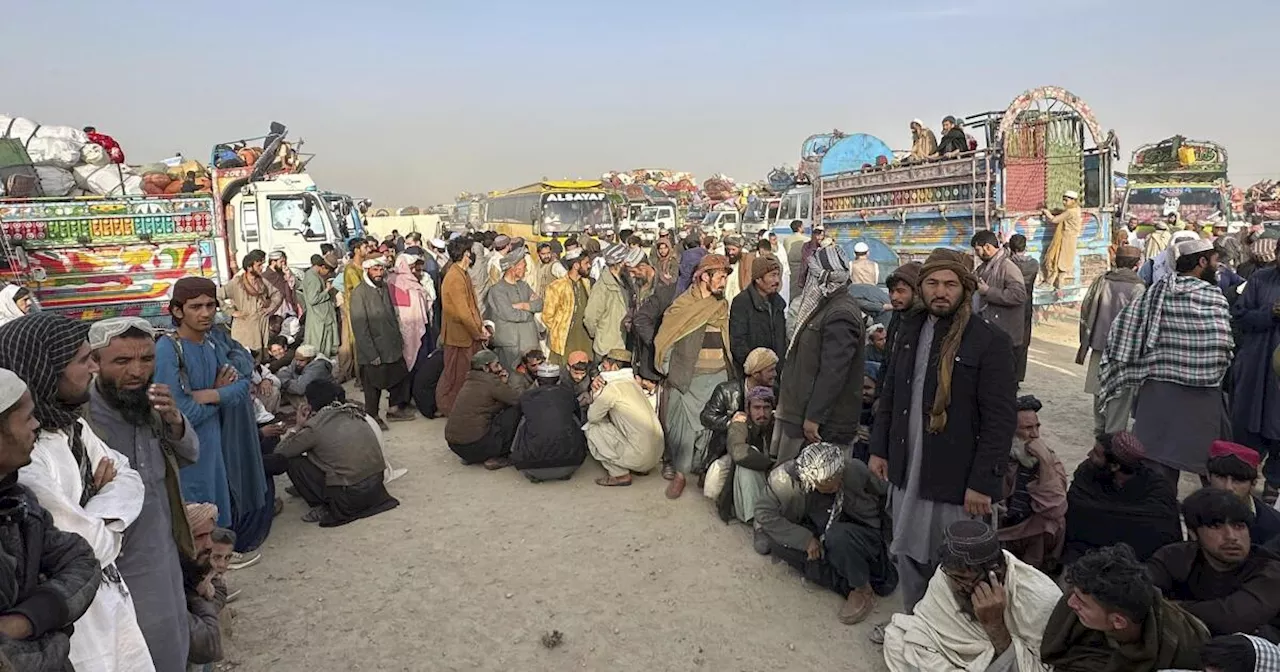 Dozens of Afghans illegally in Pakistan detained and deported in nationwide sweeps