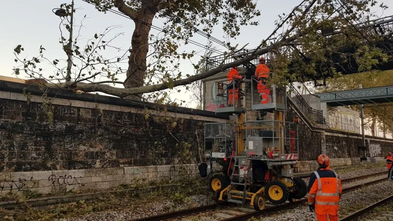 Tempête Ciarán : faut-il craindre des perturbations en Île-de-France ?