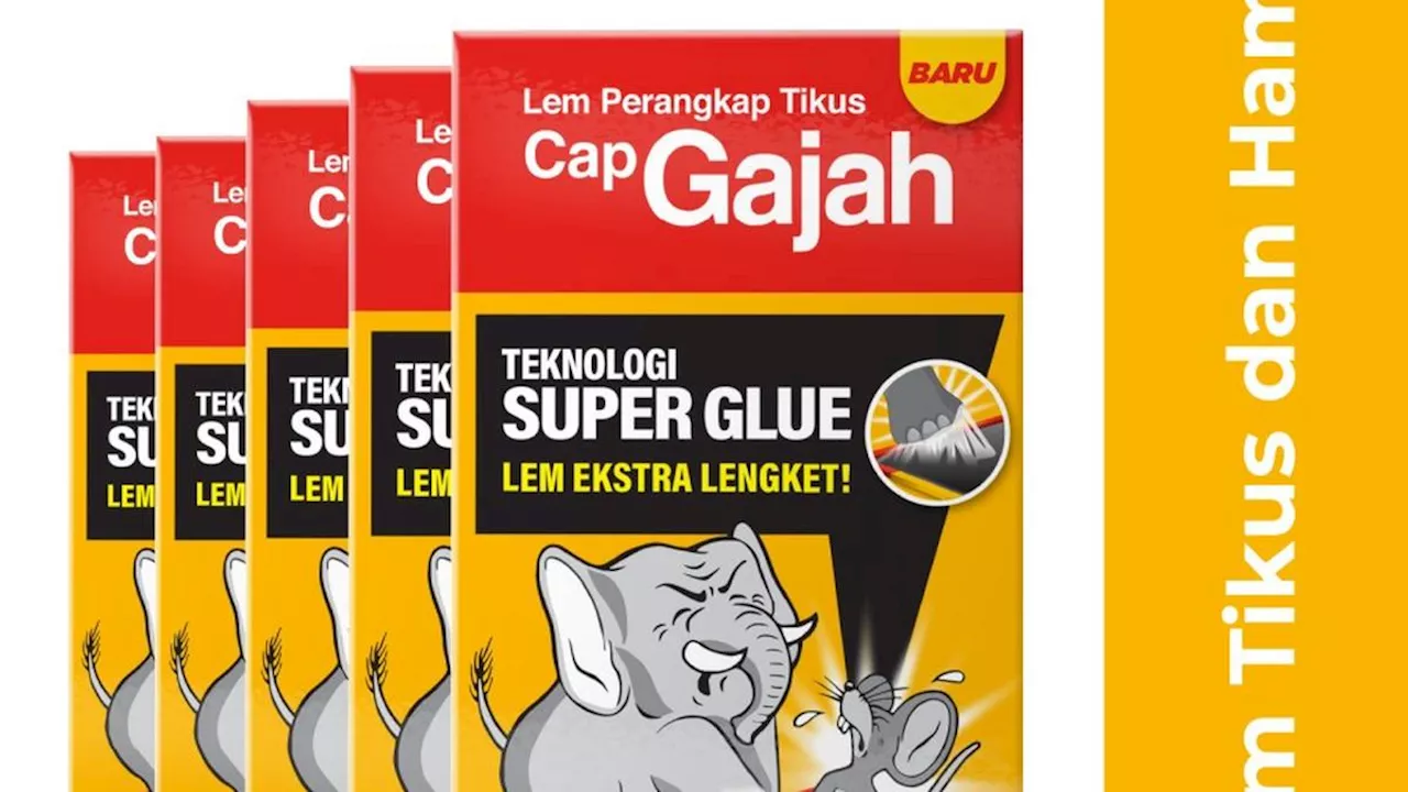 5 Rekomendasi Racun Tikus Paling Ampuh, Efektif dengan Harga Ramah Dompet