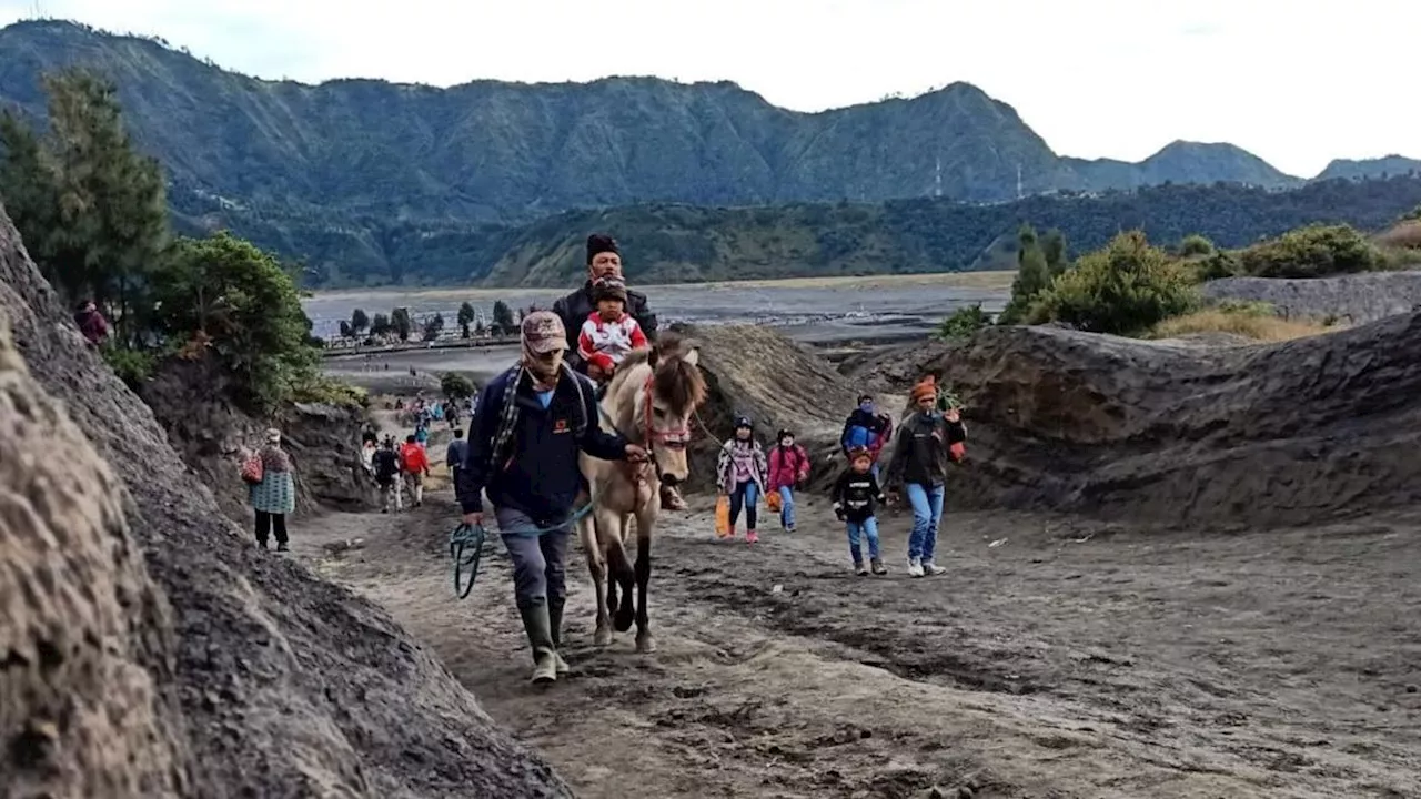 Sebulan Usai Kebakaran Akibat Flare, Kunjungan Wisatawan ke Gunung Bromo Mulai Pulih