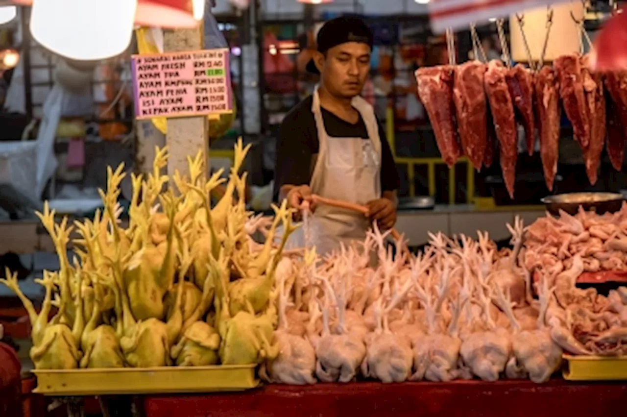 Floating chicken price: Consumers should compare and choose wisely, says Fomca