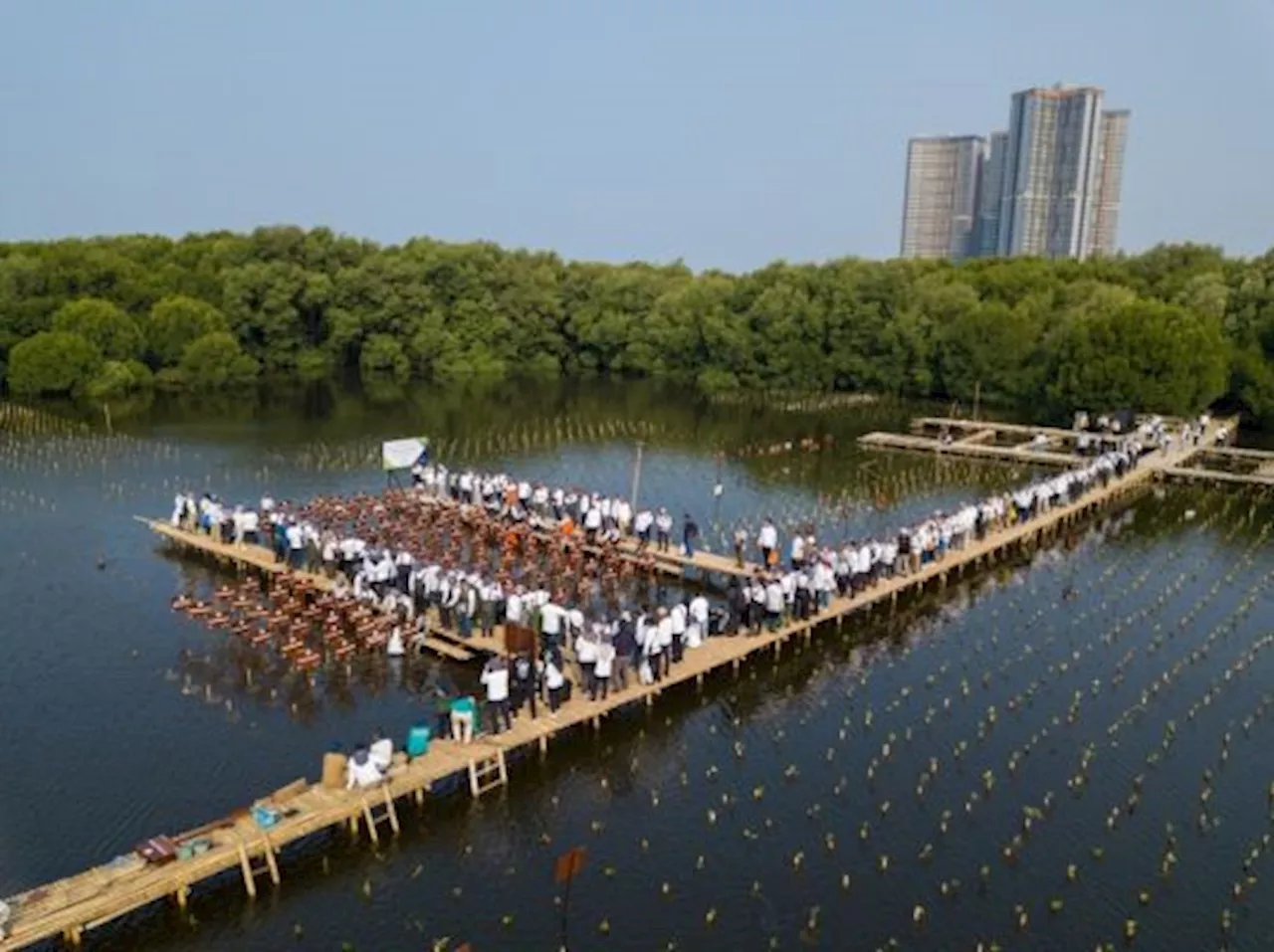 Dukung Net Zero Emission, Yili Joyday Partisipasi Penanaman Mangrove di Jakut