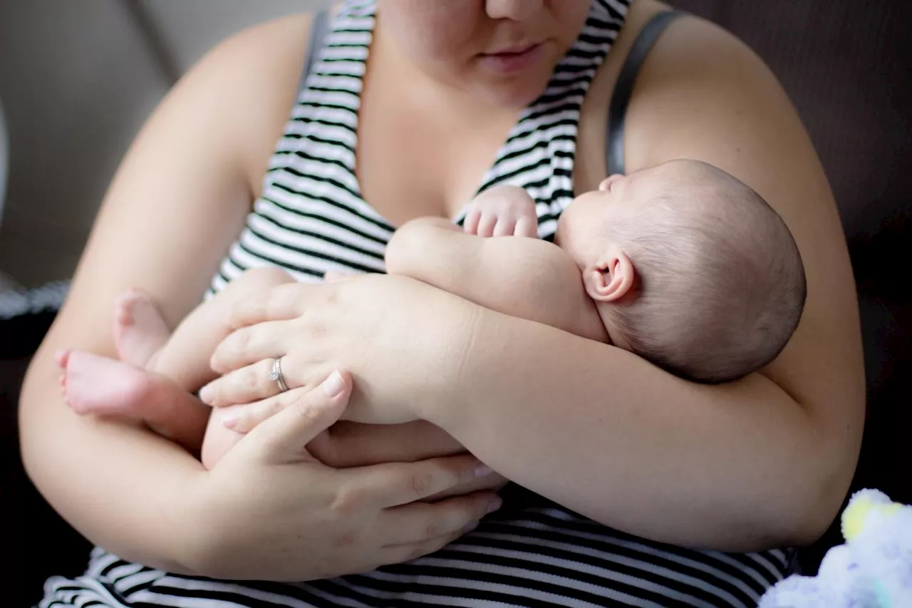 How a mother's diet affects baby's gut health