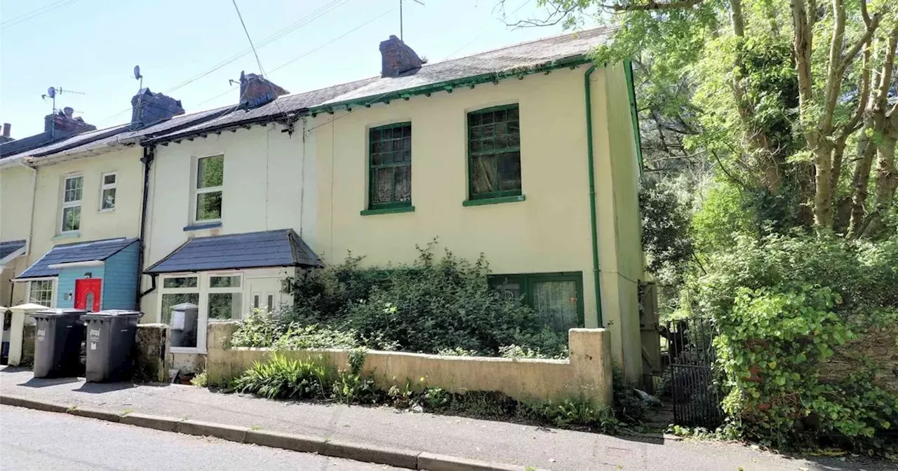 Inside house that is 'too dangerous to view' up for auction for £50,000