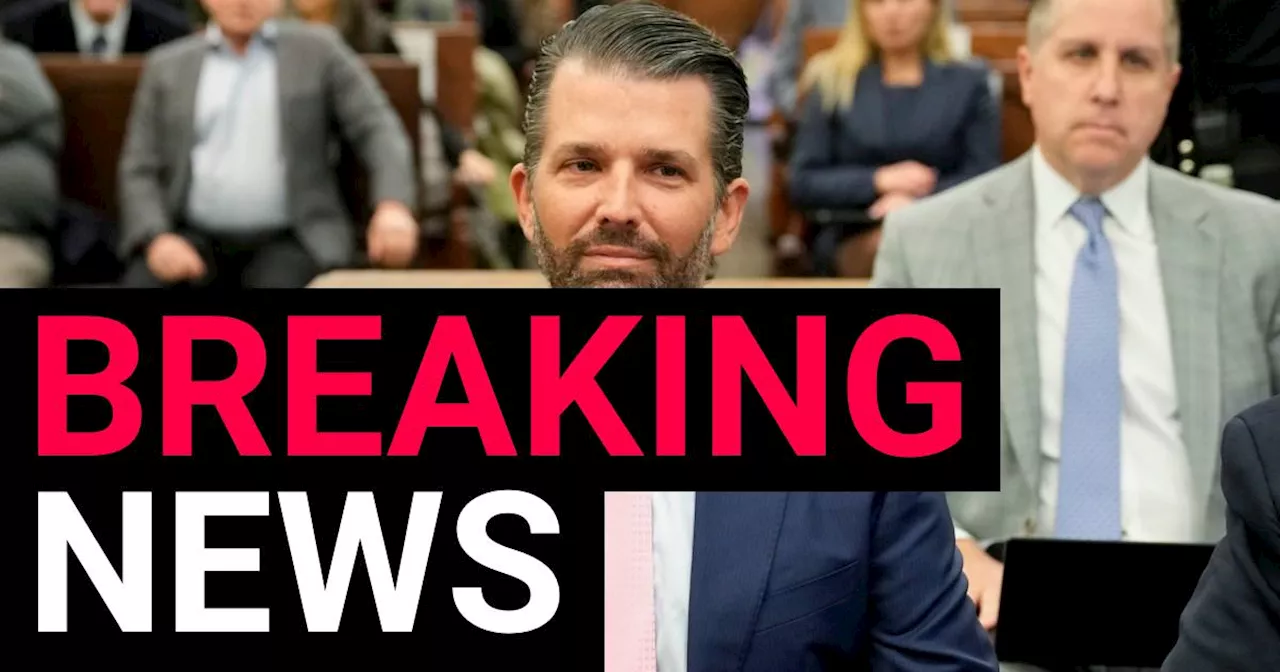 Donald Trump Jr testifies in fraud trial: 'Should have worn makeup'