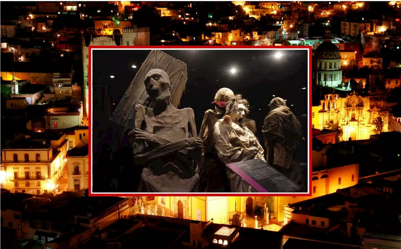 ¿Cómo llegar al Museo de las Momias de Guanajuato?