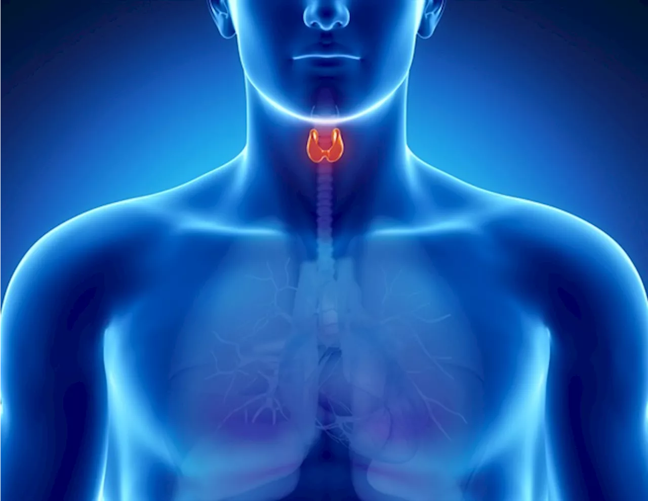 Study Finds Similar Mortality Rates for Thyroid Cancer Across Regions and Income Groups