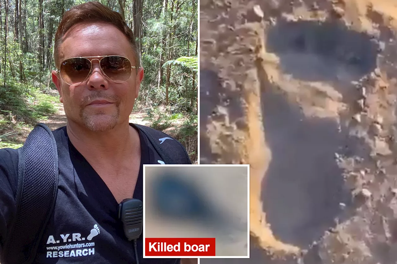 Researcher claims suspicious footprints, boar 'ripped f--king clean in half' proves existence of Australia's Bigfoot