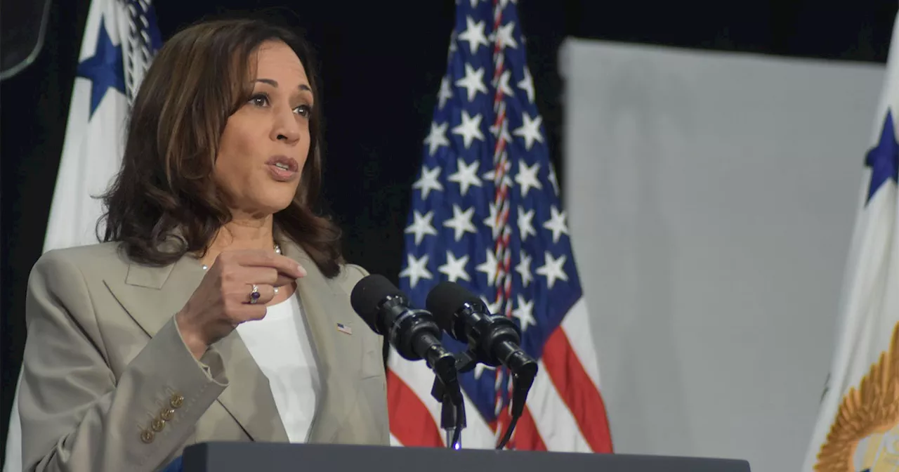 Vice President Kamala Harris Announces AI Safety Institute