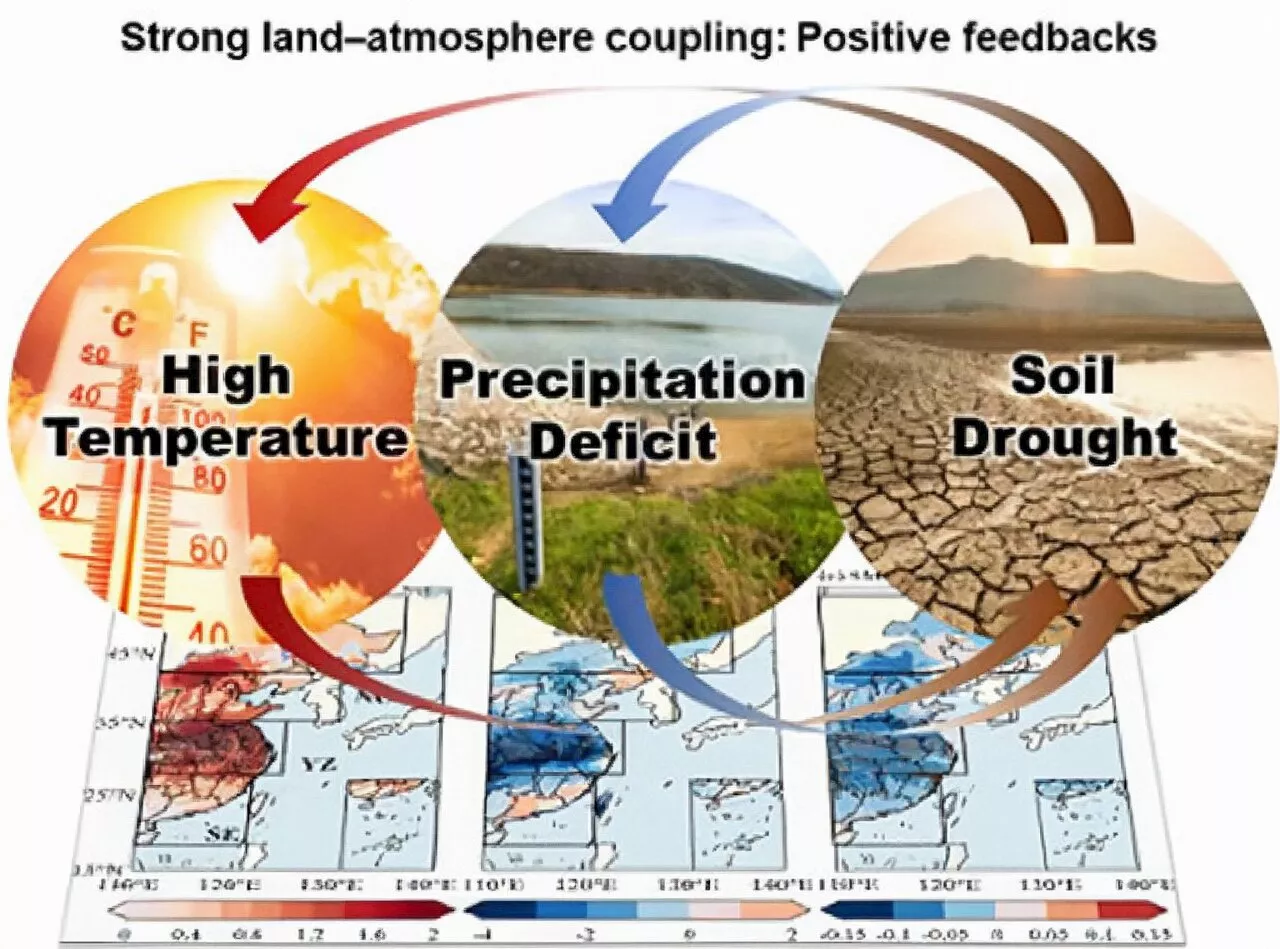 How the relationship between the land and atmosphere facilitated China's extreme weather in summer 2022