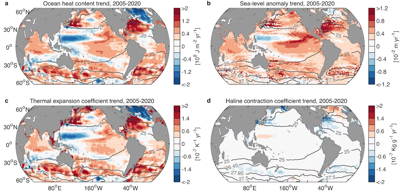 Ocean warming is accelerating, and hotspots reveal which areas are absorbing the most heat