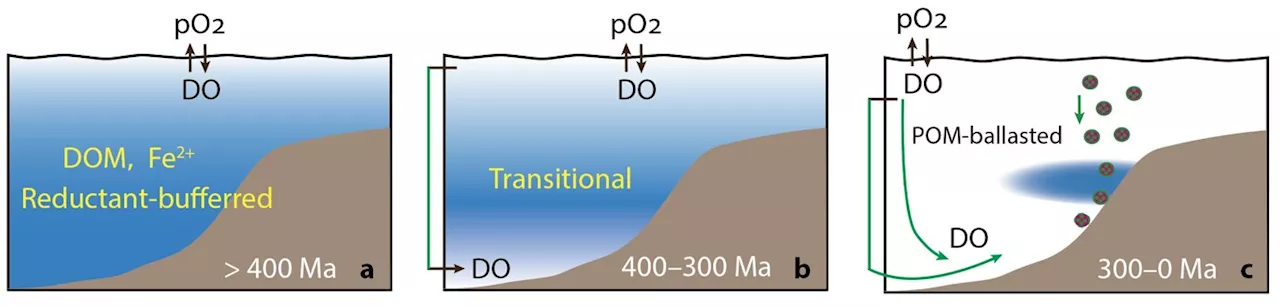 Study shows marine oxygen landscape was shaped by plate movement and biological innovation