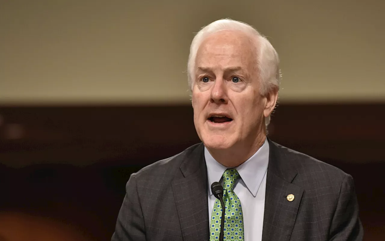 Native American groups blast Sen. John Cornyn for calling lawmakers 'wild Indians'