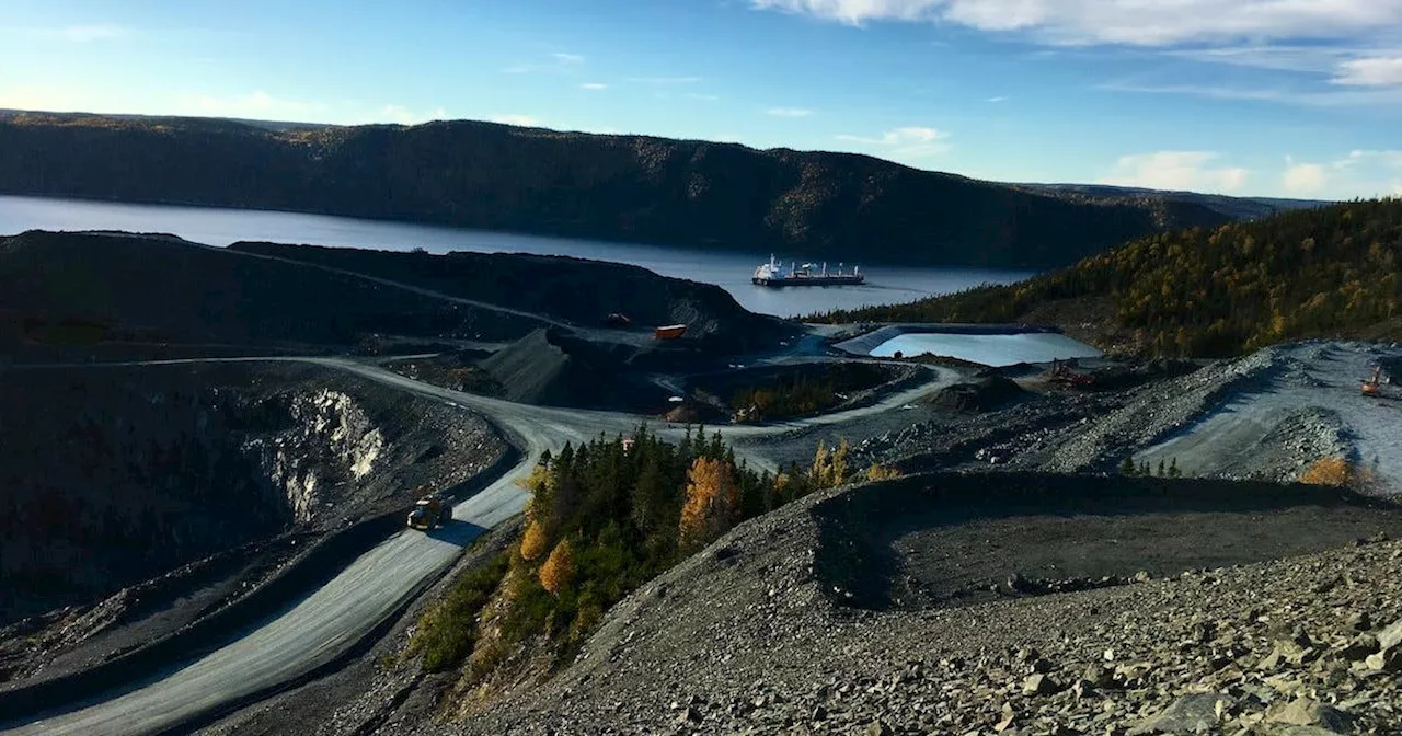 N.L. has a plan to explore and develop the 34 critical minerals found in its geology