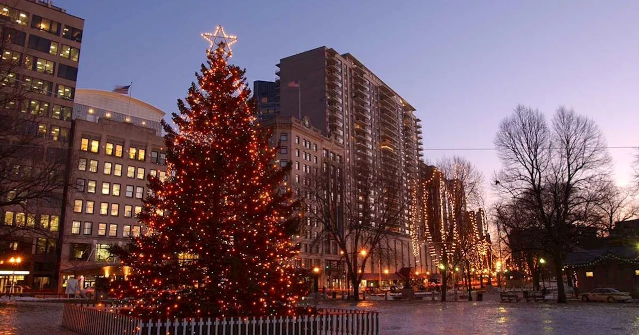 Stewiacke, N.S. family donates annual Christmas tree to the City of Boston