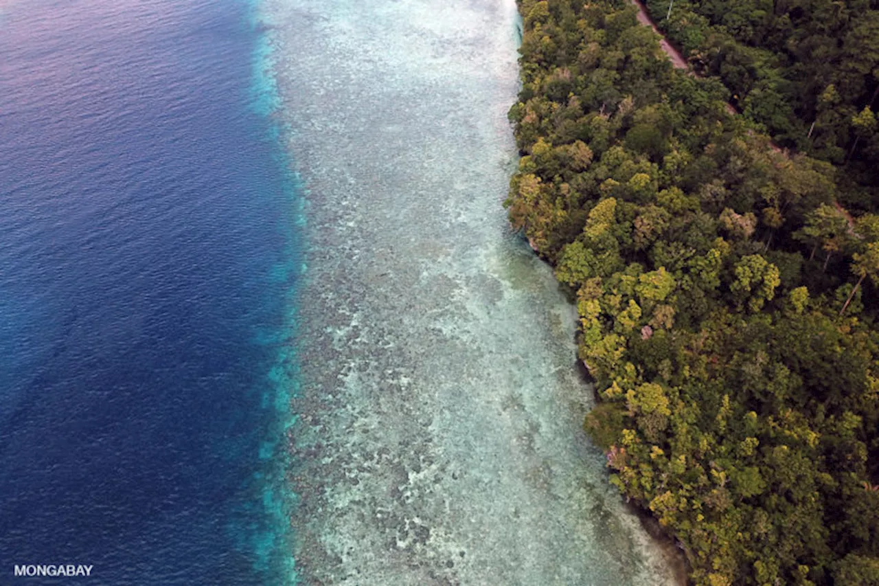 Can blue bonds boost investment in ocean conservation? (commentary)