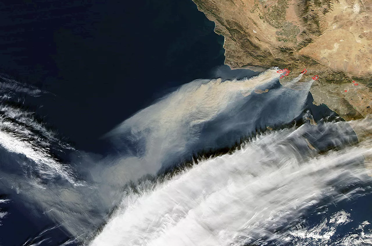 How a California wildfire created a buffet for marine microbes