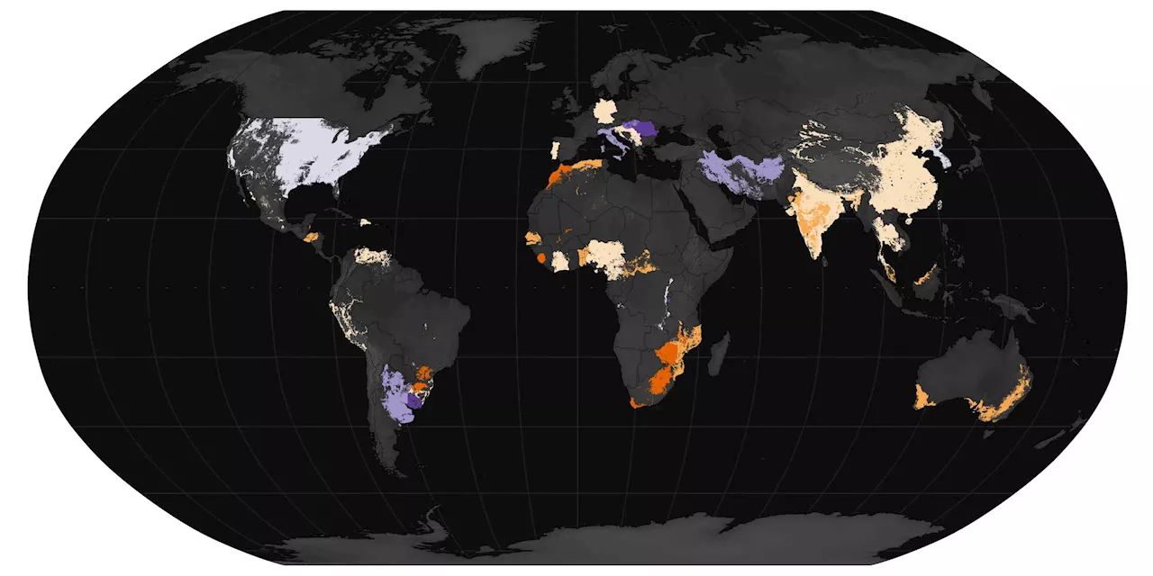 El Niño’s Rain Games: A Global Hunger Crisis?