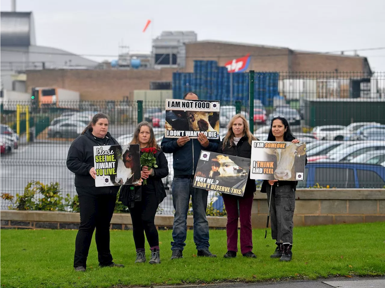 Vigil held in Shrewsbury to 'say goodbye' to animals heading to slaughter