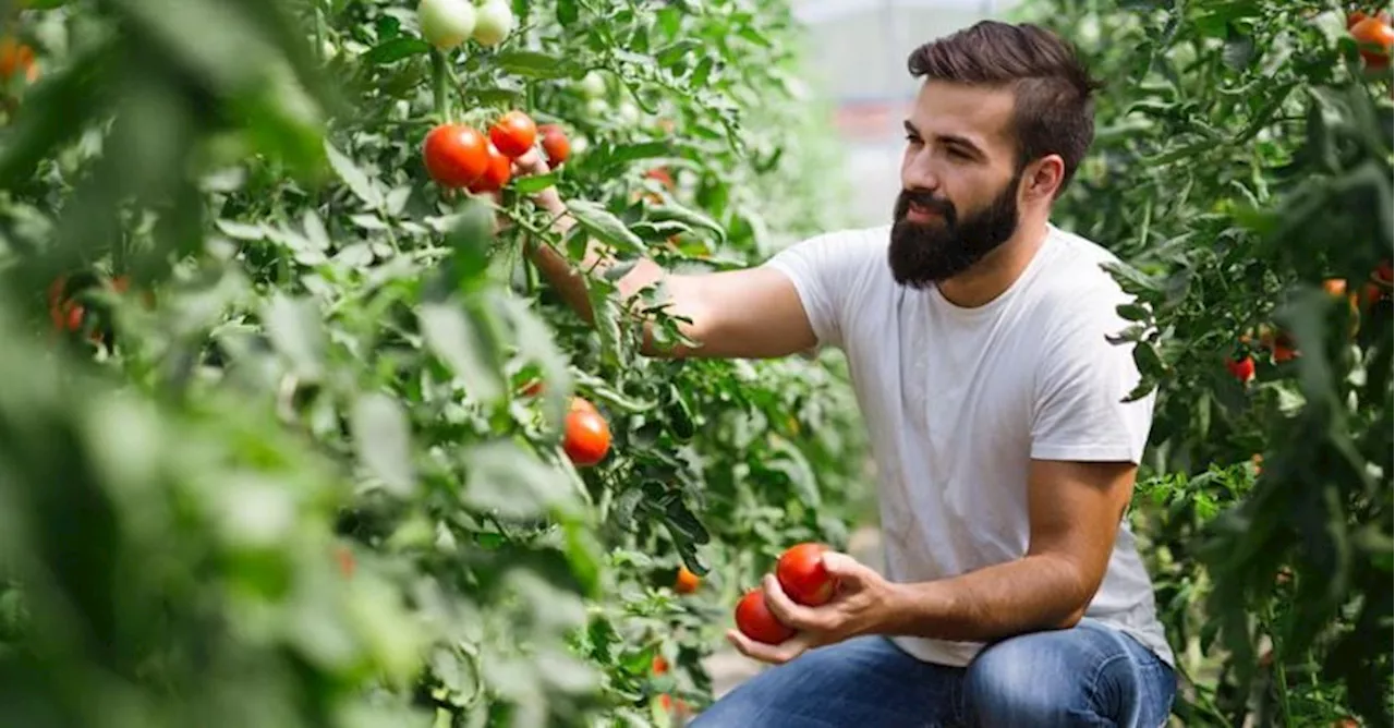 Giovani agricoltori in controtendenza: aumentano le imprese under 30