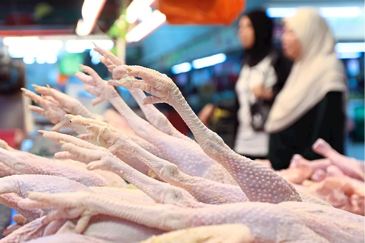 ‘Chicken price may drop below RM9.40 per kg’