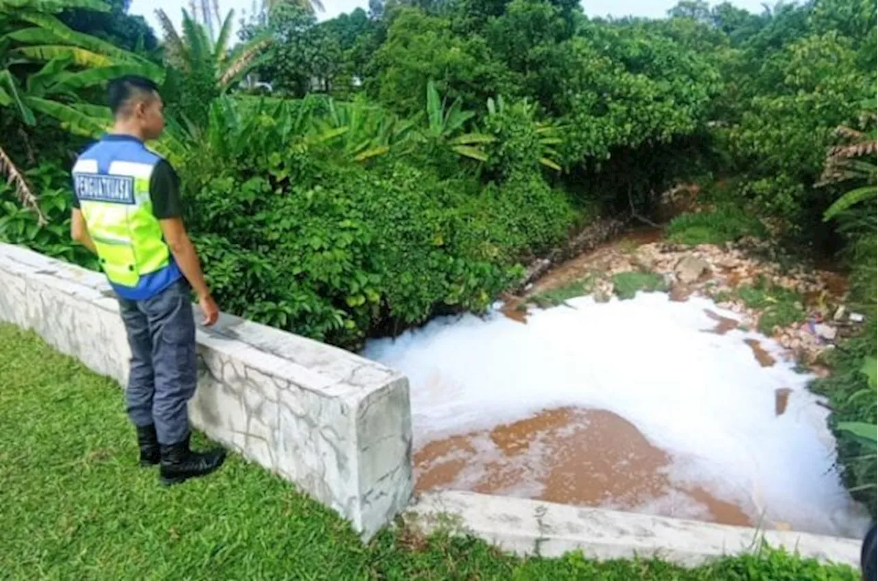 Water pollution in Sg Kecil traced to food processing premises, says Luas