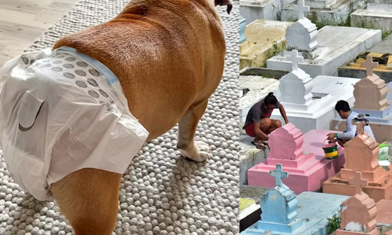 Pets banned in Davao City cemeteries